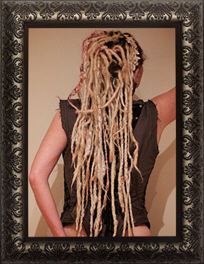 Dreadlocks Photo